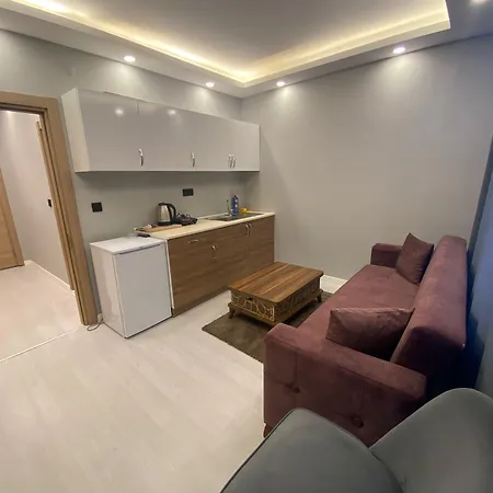 Big Peace شقة فندقية