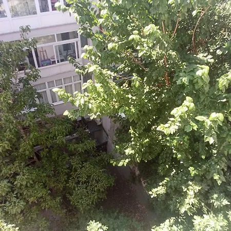 شقة فندقية Big Peace 3*